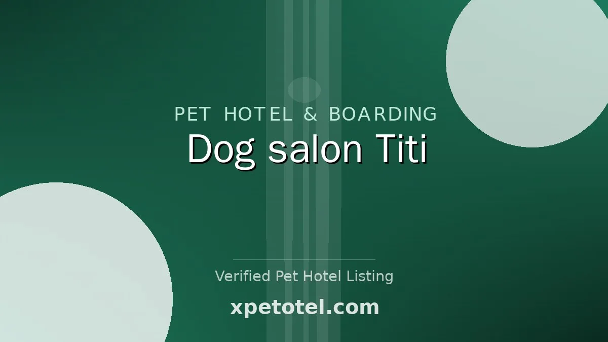Dog　salon　Titi