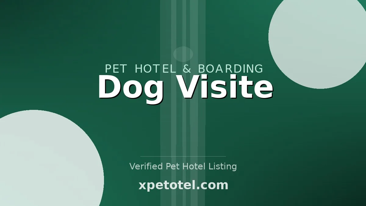Dog Visite