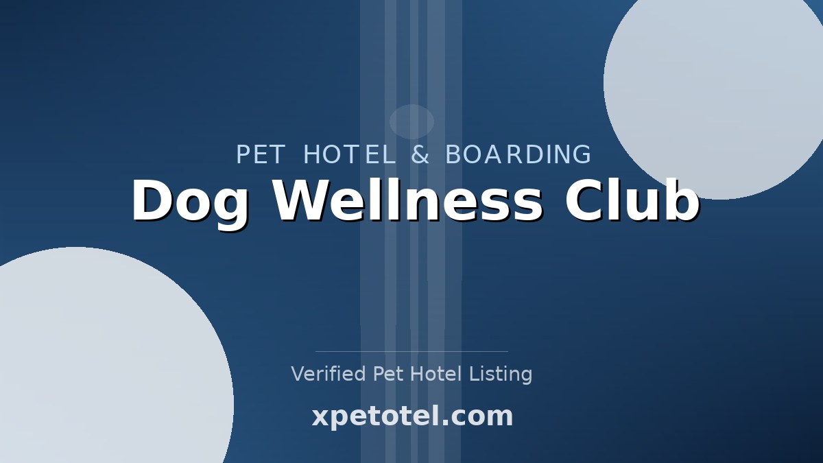 Dog Wellness Club pet hotel Minneapolis