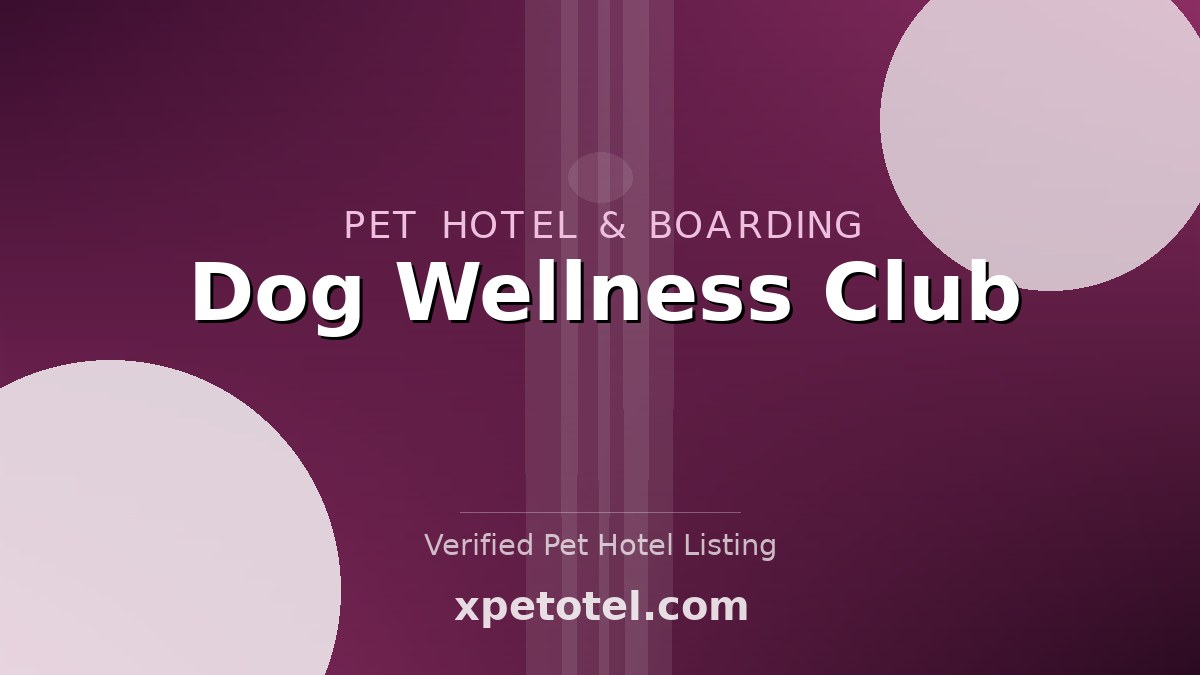 Dog Wellness Club pet hotel Minneapolis