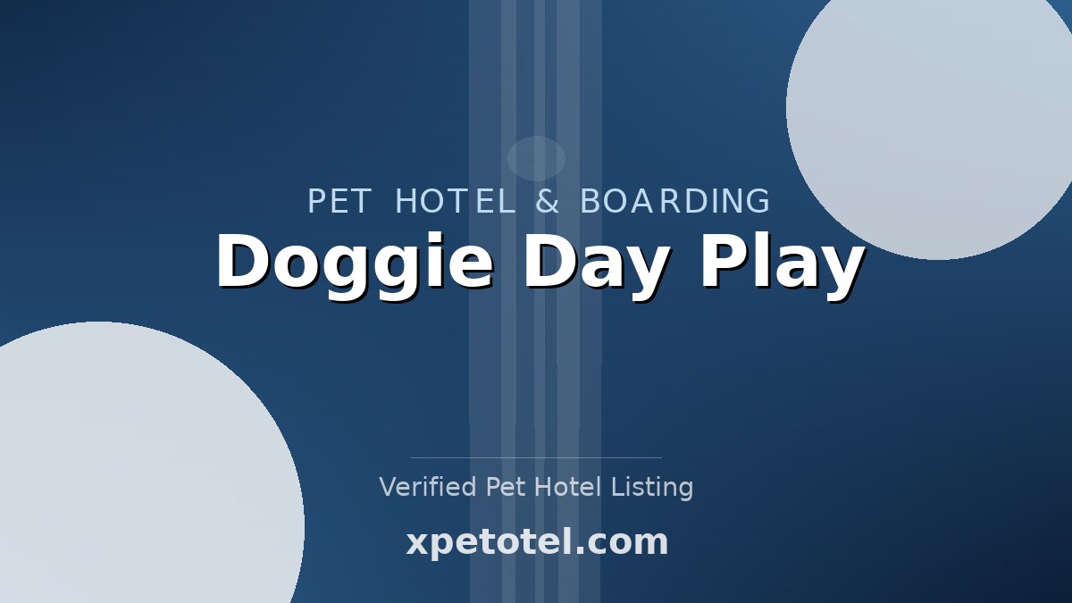 Doggie Day Play pet hotel Oak Park