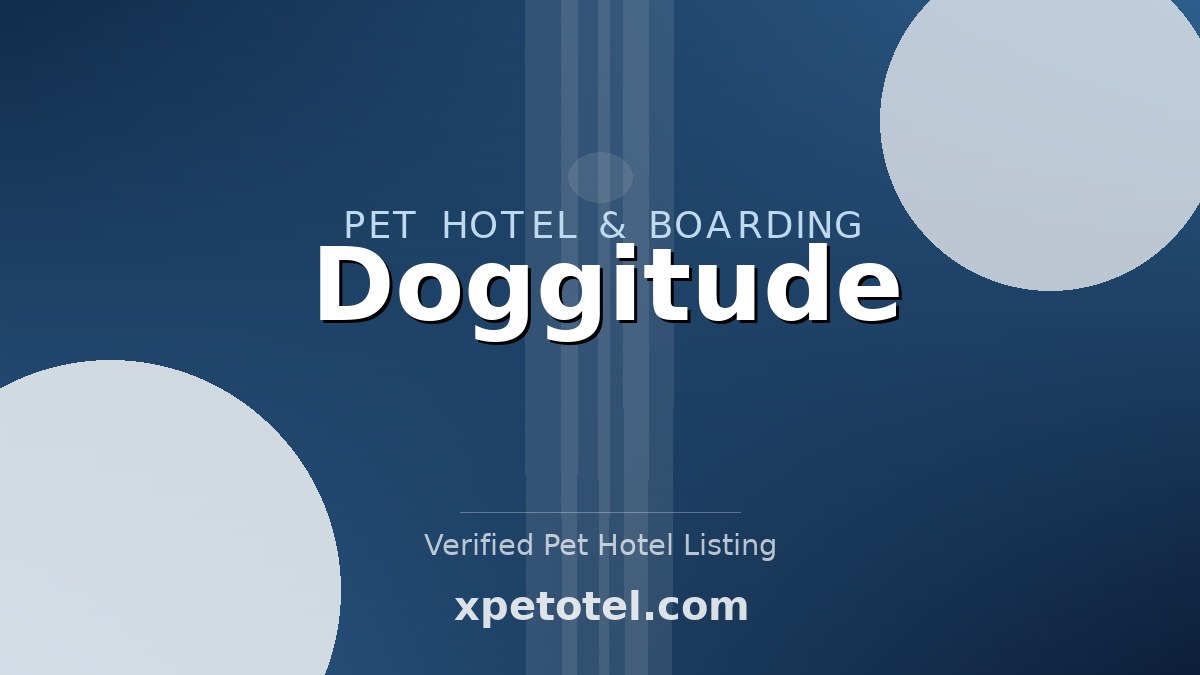 Doggitude pet hotel New York