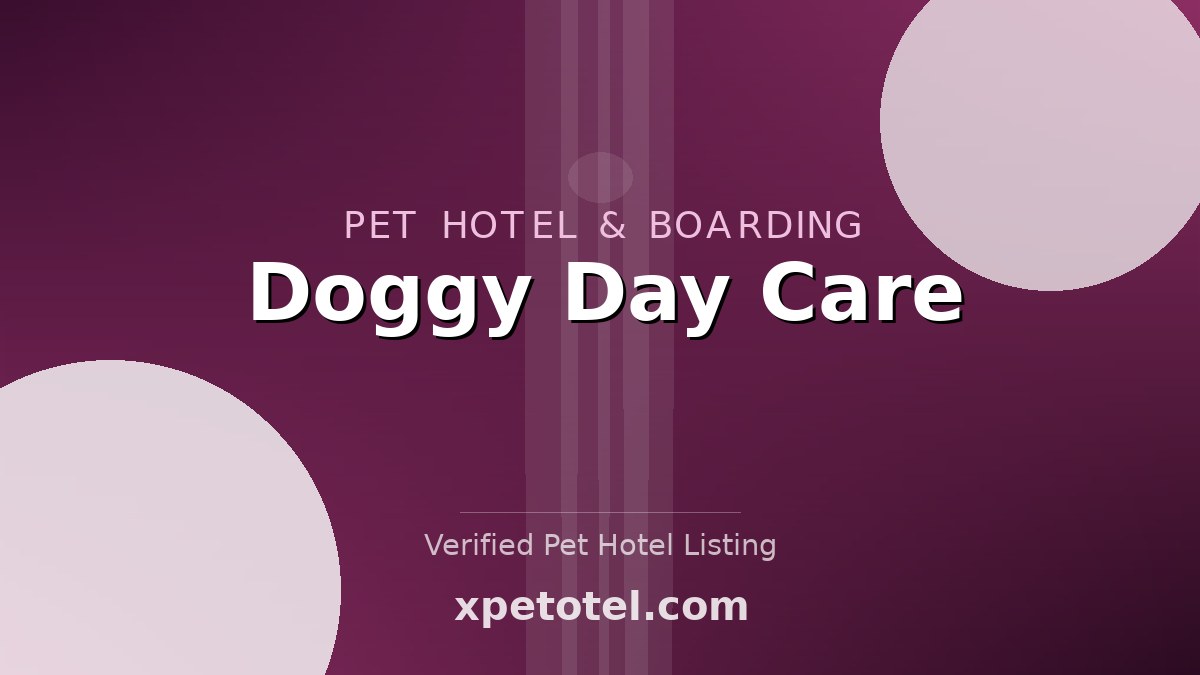 Doggy Day Care pet hotel Australia