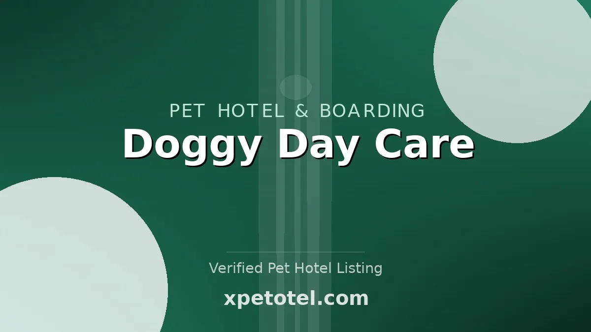 Doggy Day Care