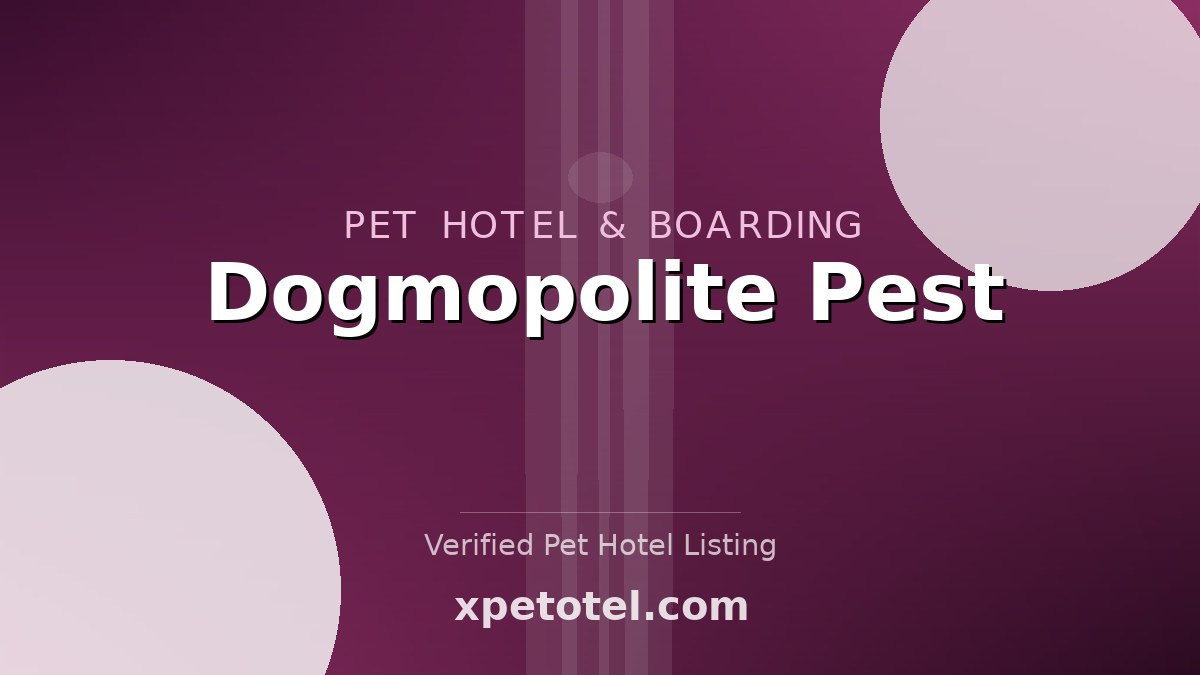Dogmopolite Pest pet hotel Budapest