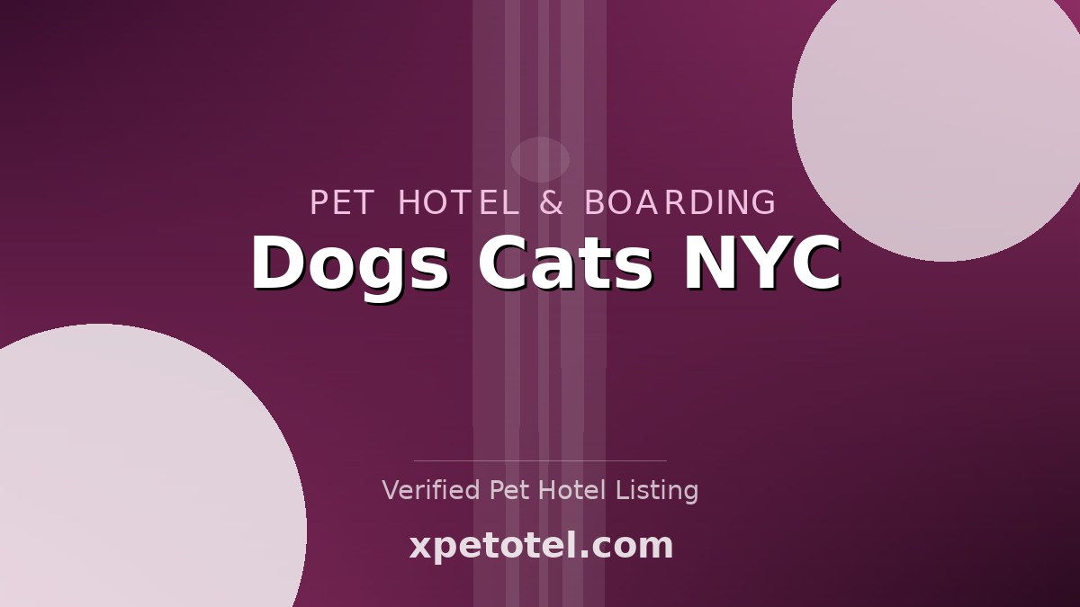 Dogs Cats NYC pet hotel Weehawken
