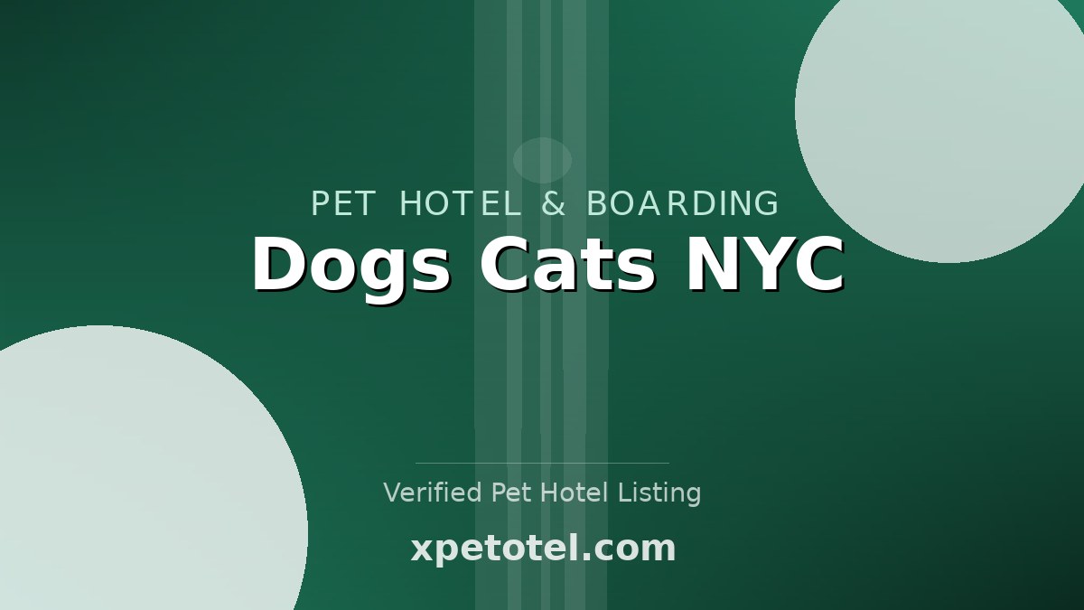Dogs Cats NYC