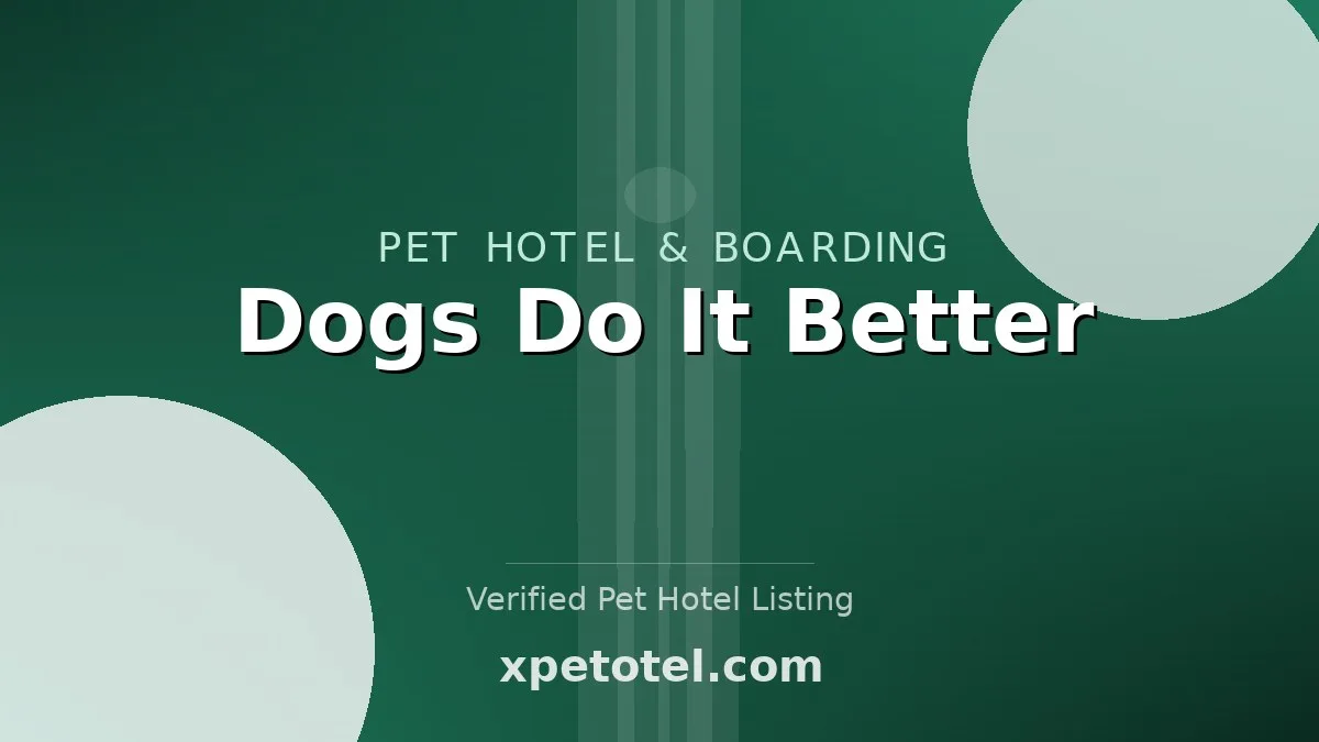 Dogs Do It Better