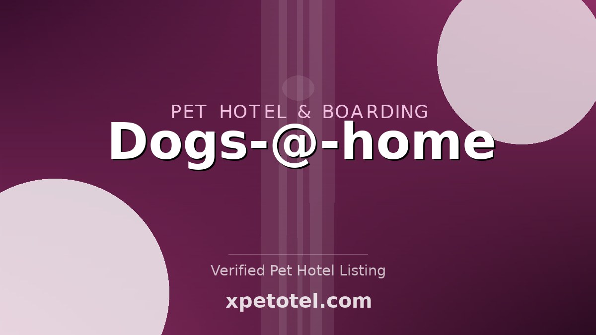 Dogs-@-home pet hotel Rillaar