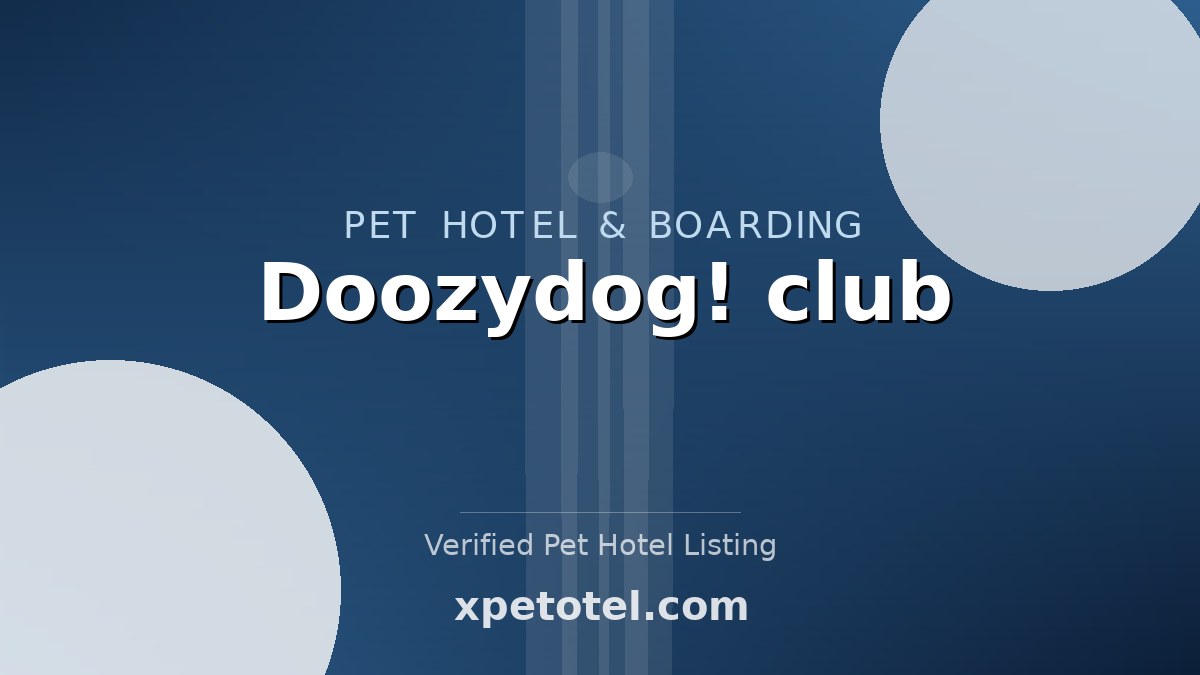 Doozydog! club pet hotel Washington
