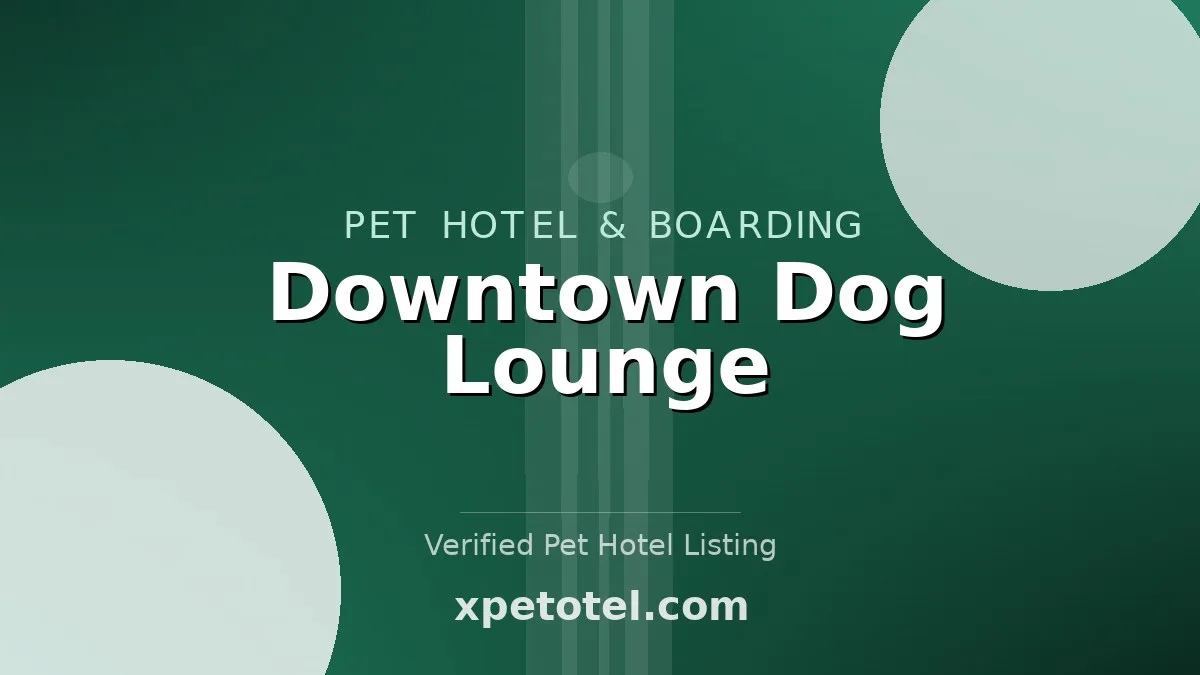Downtown Dog Lounge