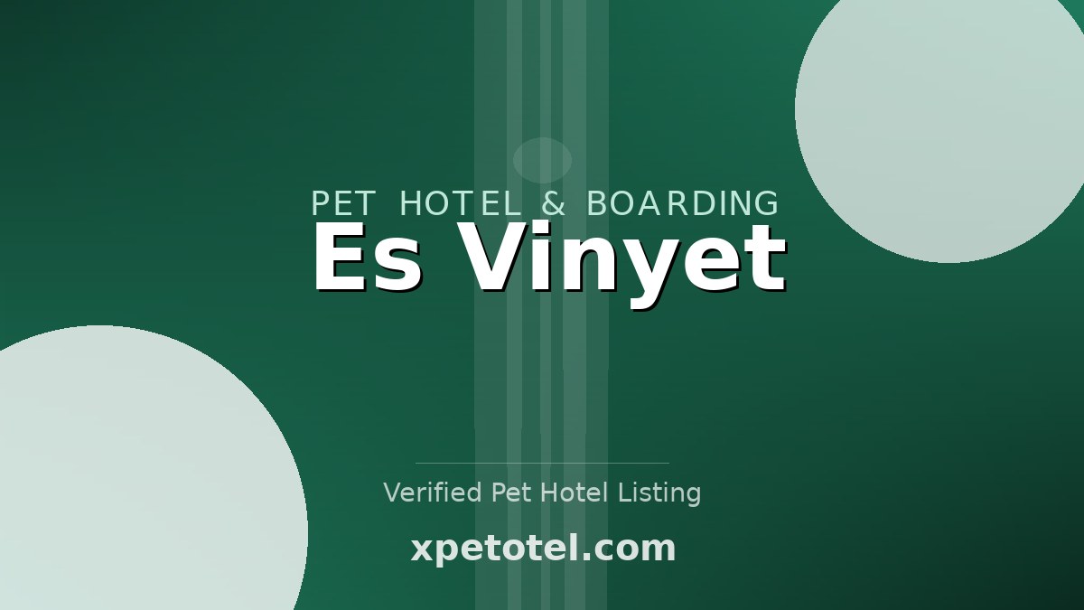 Es Vinyet