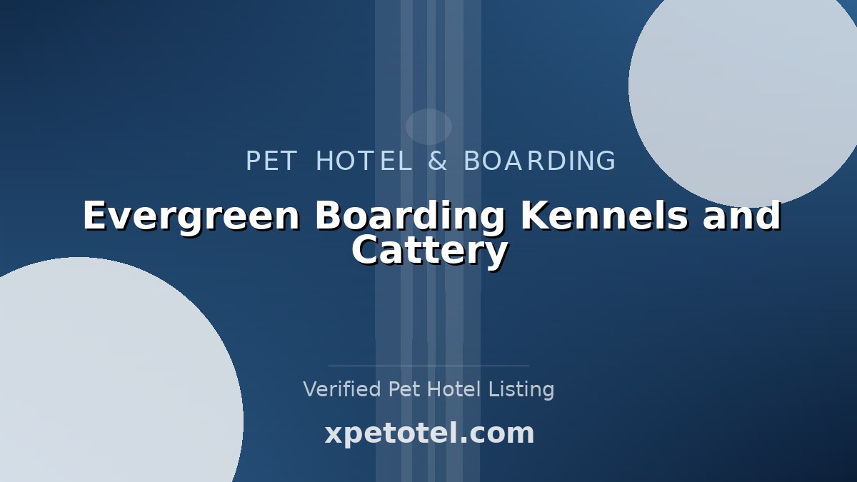 Evergreen Boarding Kennels and Cattery pet hotel Norwich