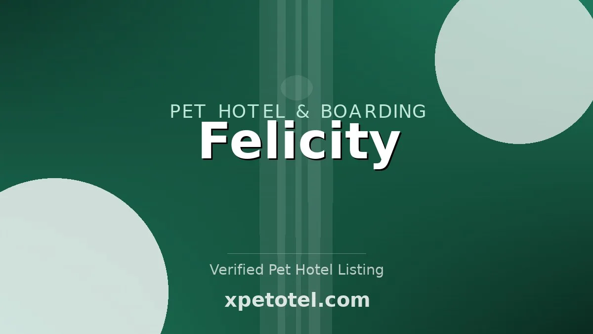 Felicity