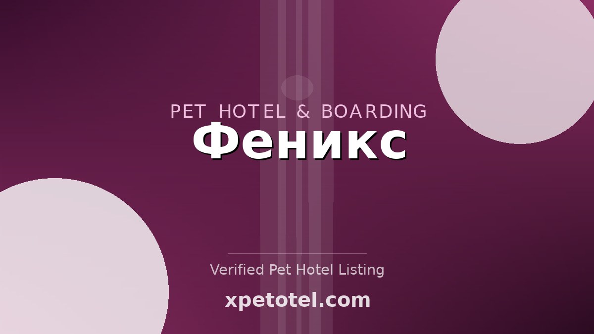 Феникс pet hotel Ростов-на-Дону