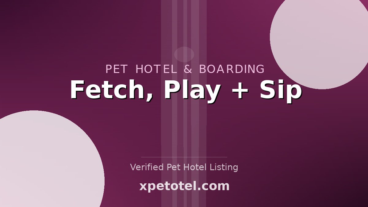 Fetch, Play + Sip pet hotel Green Bay