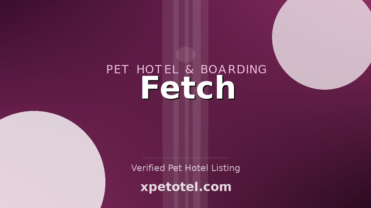 Fetch pet hotel San Juan