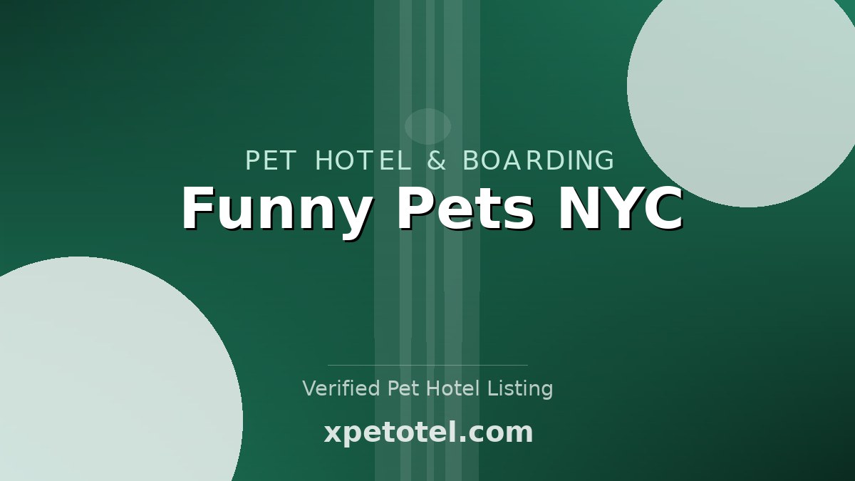 Funny Pets NYC