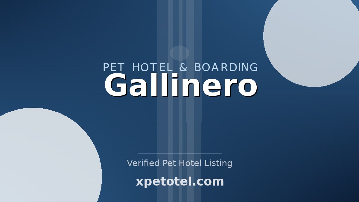 Gallinero pet hotel Medellin