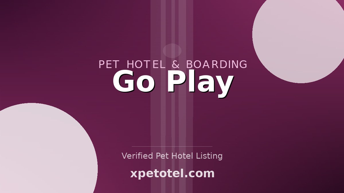 Go Play pet hotel Arlington