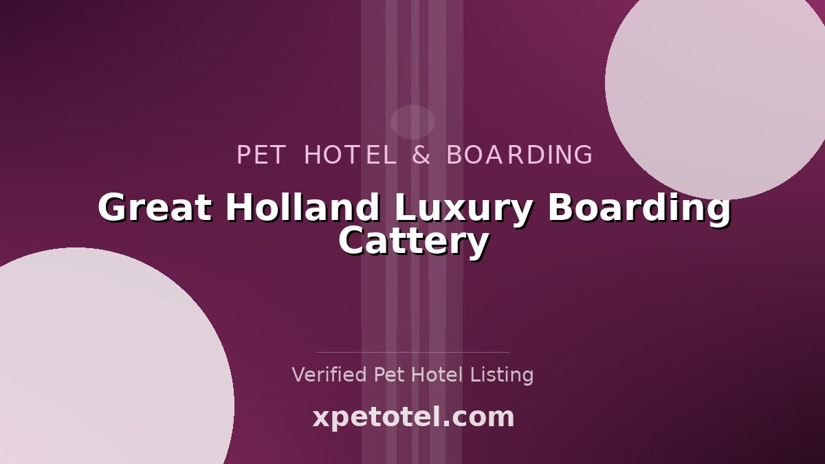 Great Holland Luxury Boarding Cattery pet hotel Weeley