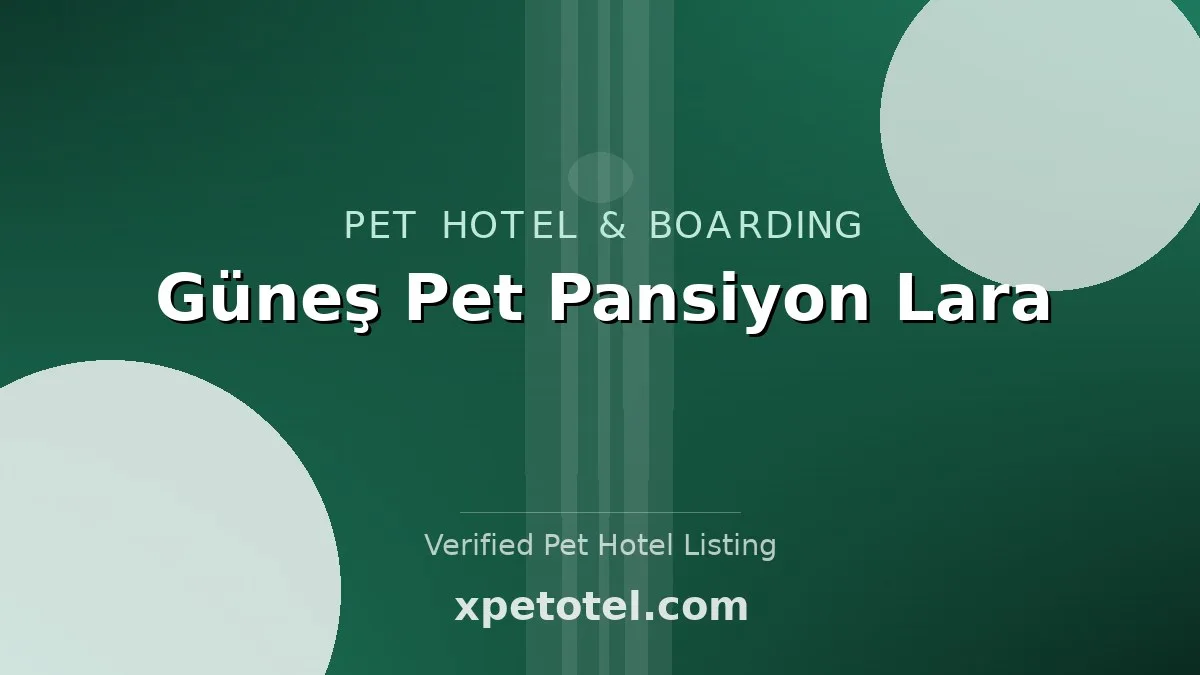 Güneş Pet Pansiyon Lara