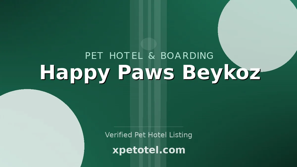 Happy Paws Beykoz