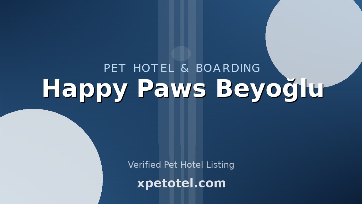Happy Paws Beyoğlu pet hotel Istanbul