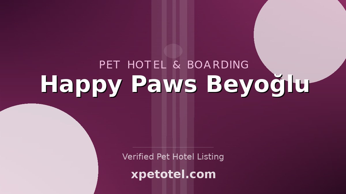 Happy Paws Beyoğlu pet hotel Istanbul