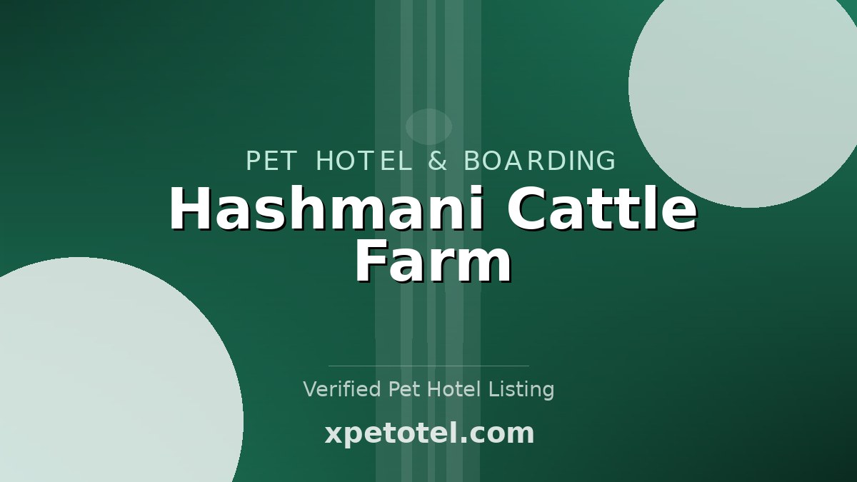 Hashmani Cattle Farm