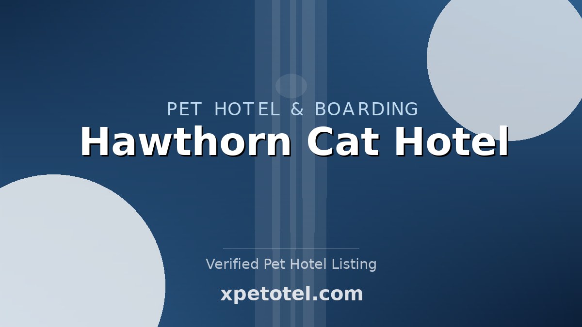 Hawthorn Cat Hotel pet hotel Godstone