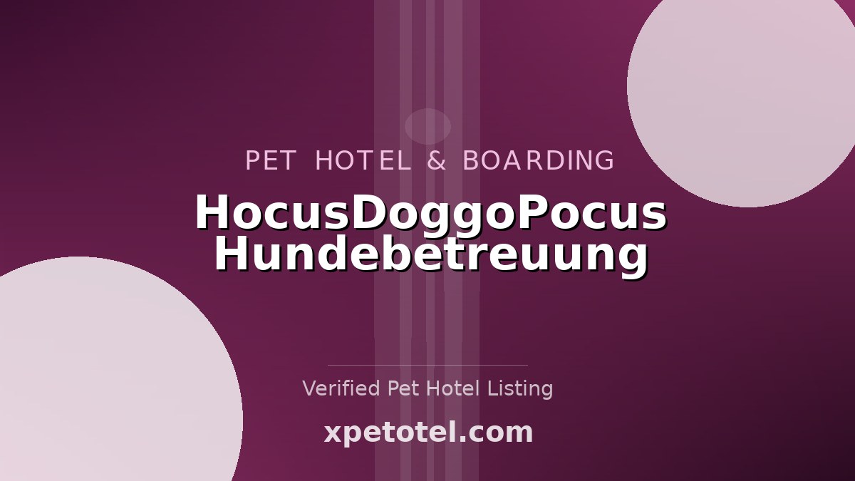 HocusDoggoPocus Hundebetreuung pet hotel Herbstein