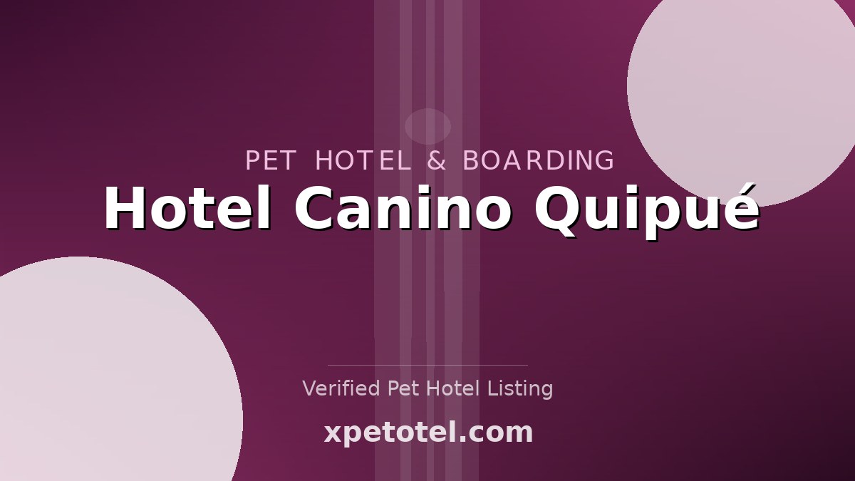 Hotel Canino Quipué pet hotel Valparaiso