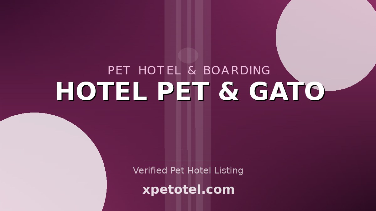 HOTEL PET & GATO pet hotel Cristais Paulista - SP