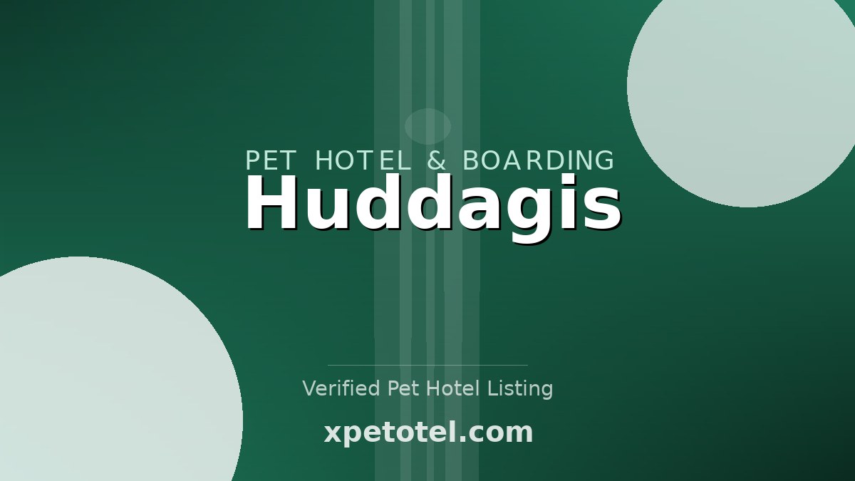 Huddagis