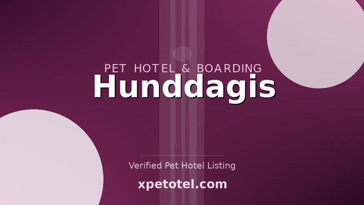 Hunddagis pet hotel Bandhagen