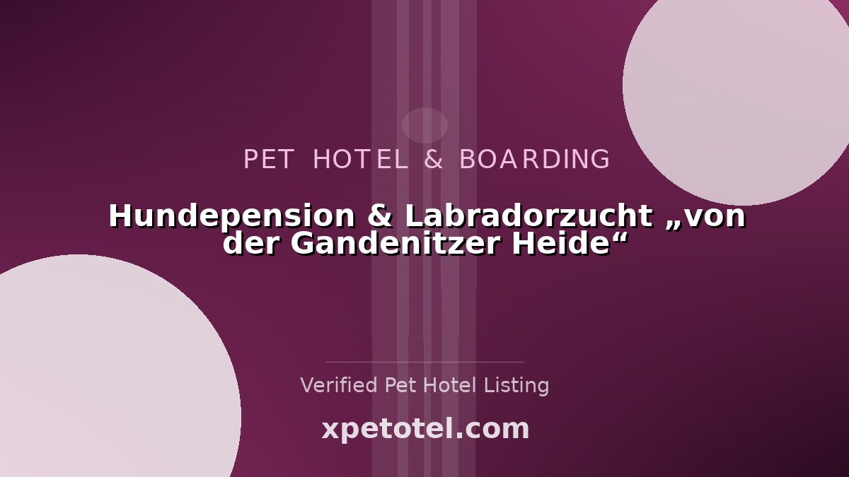 Hundepension & Labradorzucht „von der Gandenitzer Heide“ pet hotel Templin