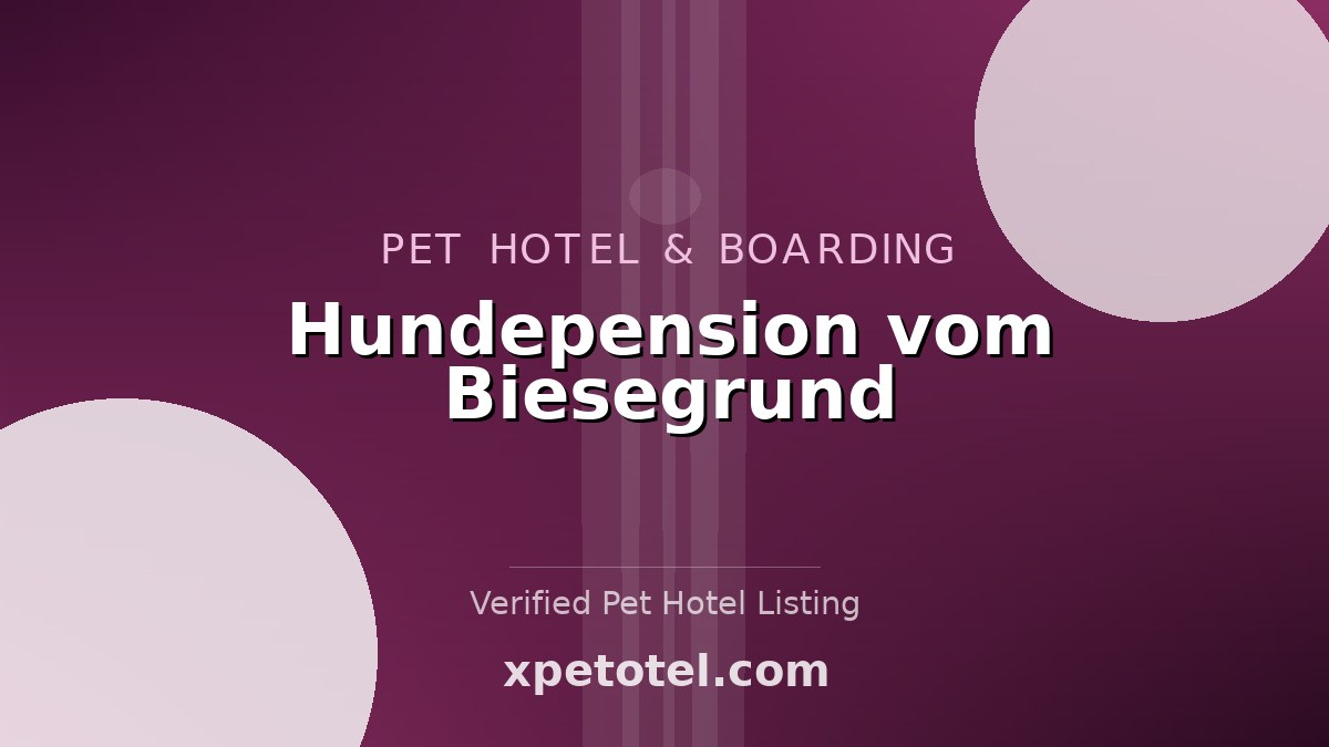 Hundepension vom Biesegrund pet hotel Osterburg (Altmark)