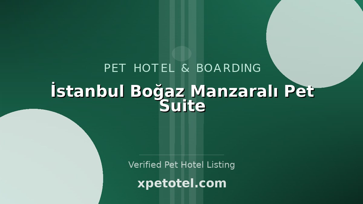 İstanbul Boğaz Manzaralı Pet Suite
