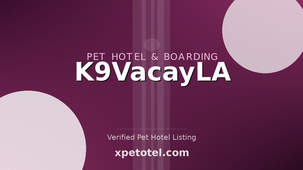 K9VacayLA pet hotel Playa Del Rey