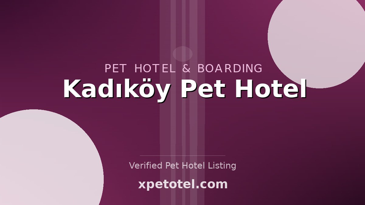 Kadıköy Pet Hotel pet hotel Istanbul