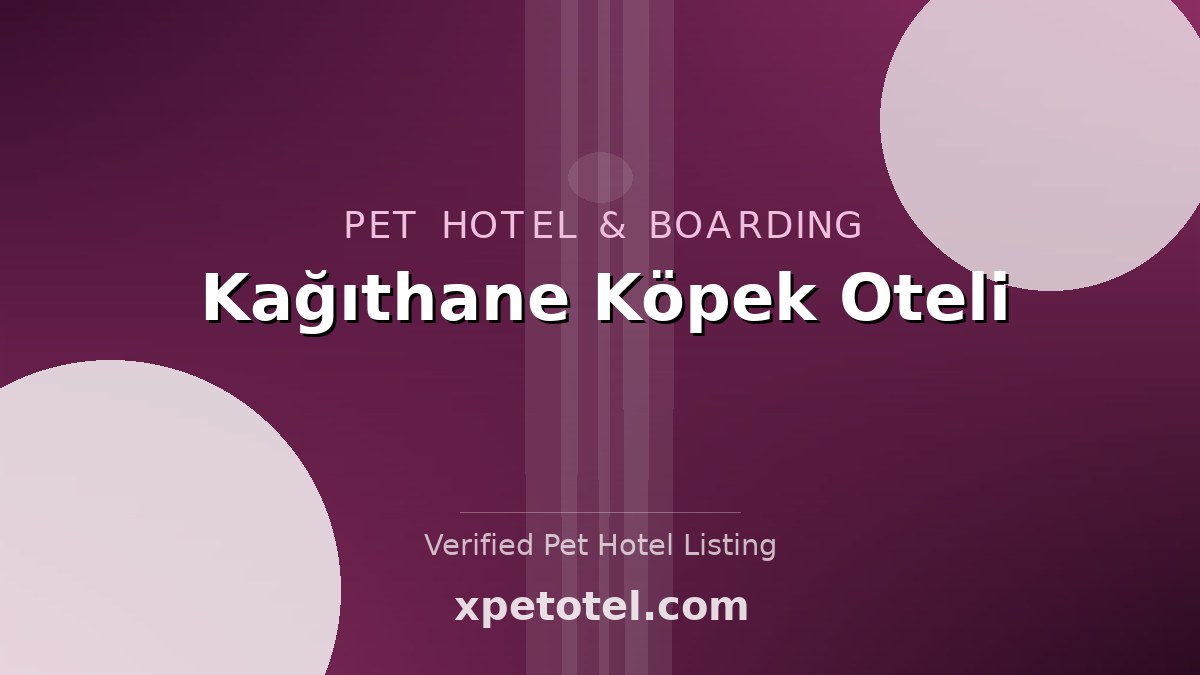 Kağıthane Köpek Oteli pet hotel Istanbul