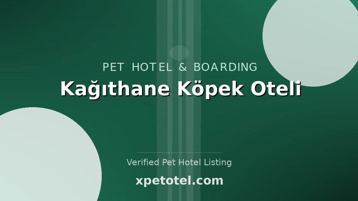 Kağıthane Köpek Oteli
