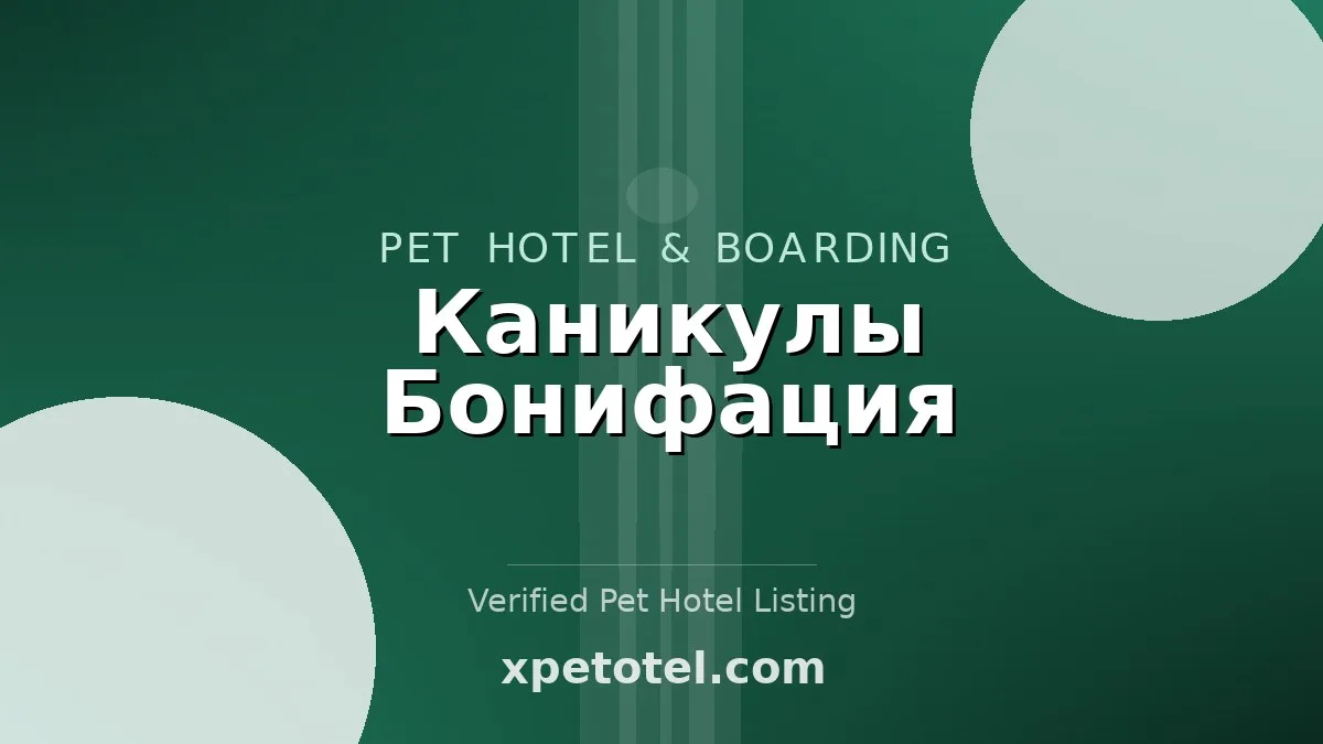 Каникулы Бонифация