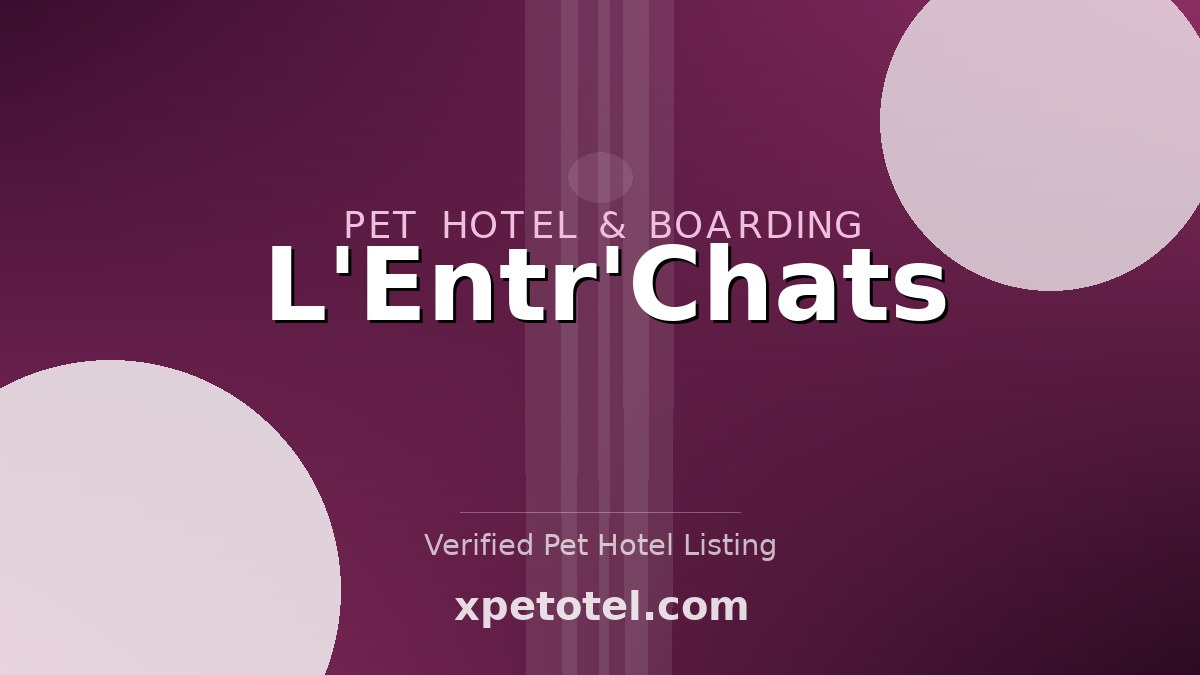 L'Entr'Chats pet hotel Lyon