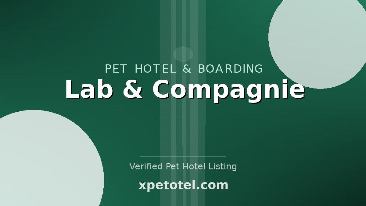 Lab & Compagnie