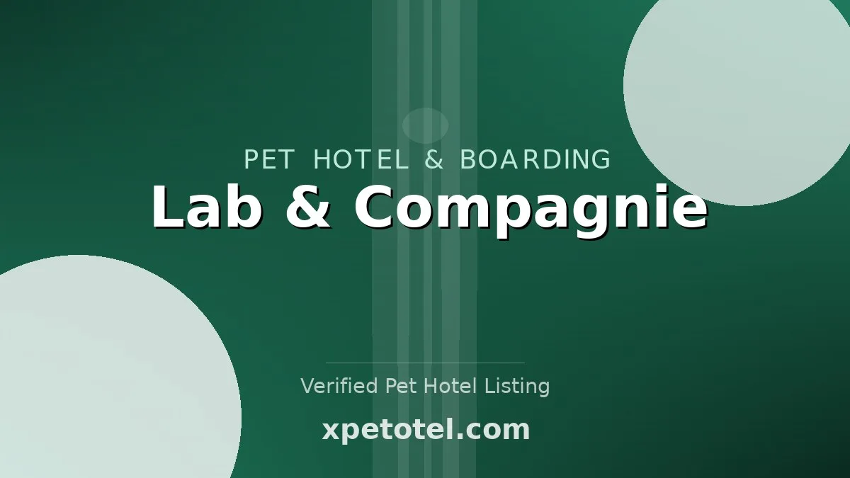 Lab & Compagnie