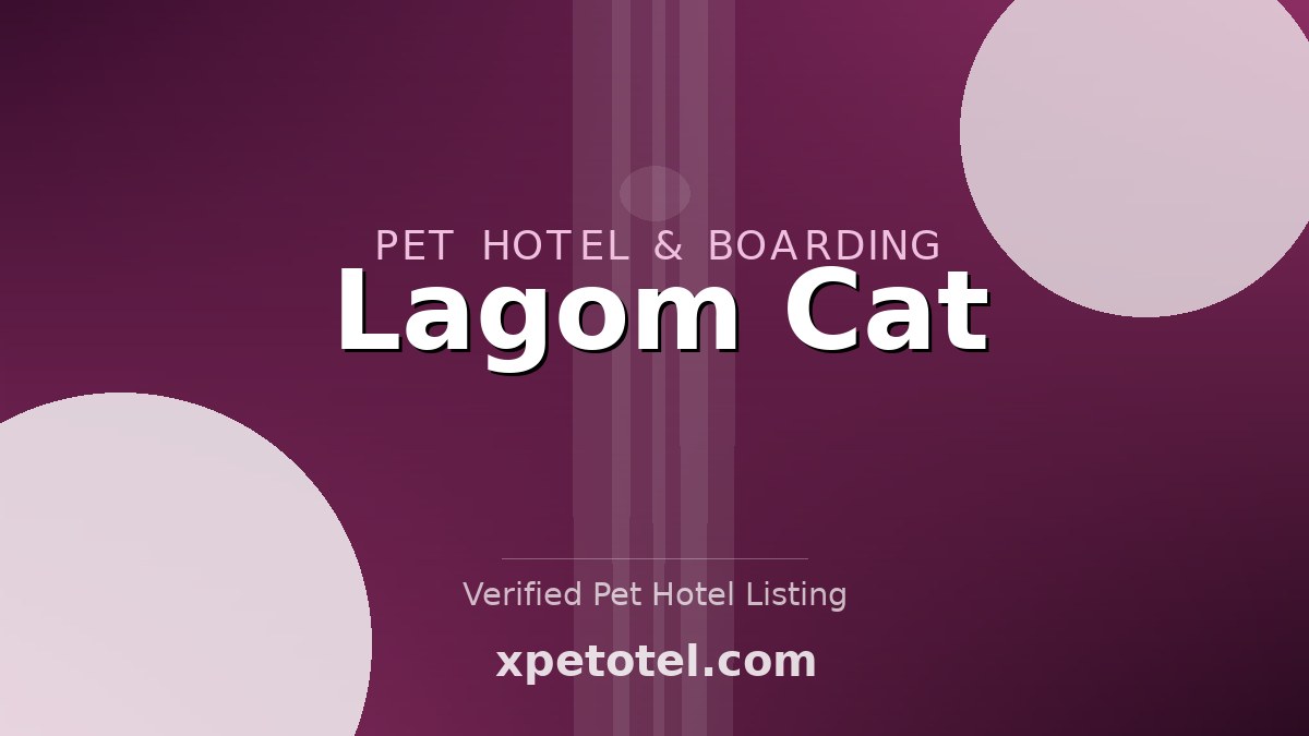 Lagom Cat pet hotel Рощино