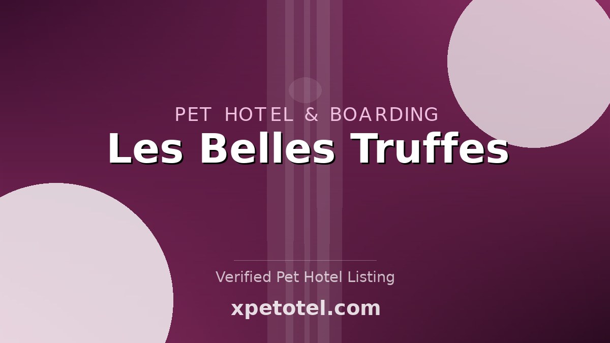 Les Belles Truffes pet hotel Puteaux