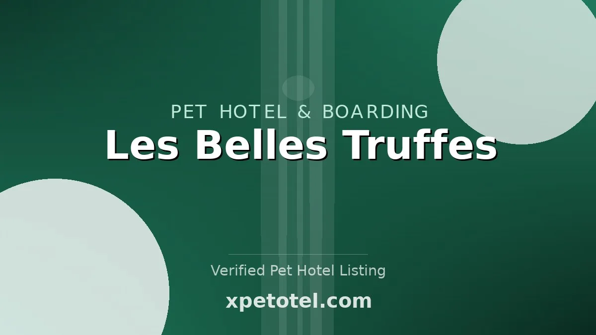 Les Belles Truffes